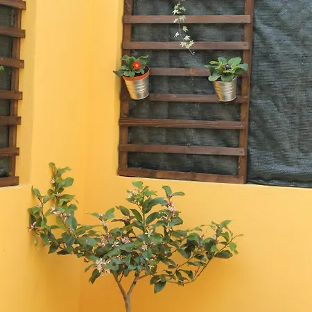 非洲西洛可早餐加卧室旅馆